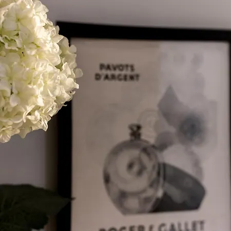 Apartment L'ethnic Ambience - Superbe Confort Au Coeur Du Vieux Lyon
